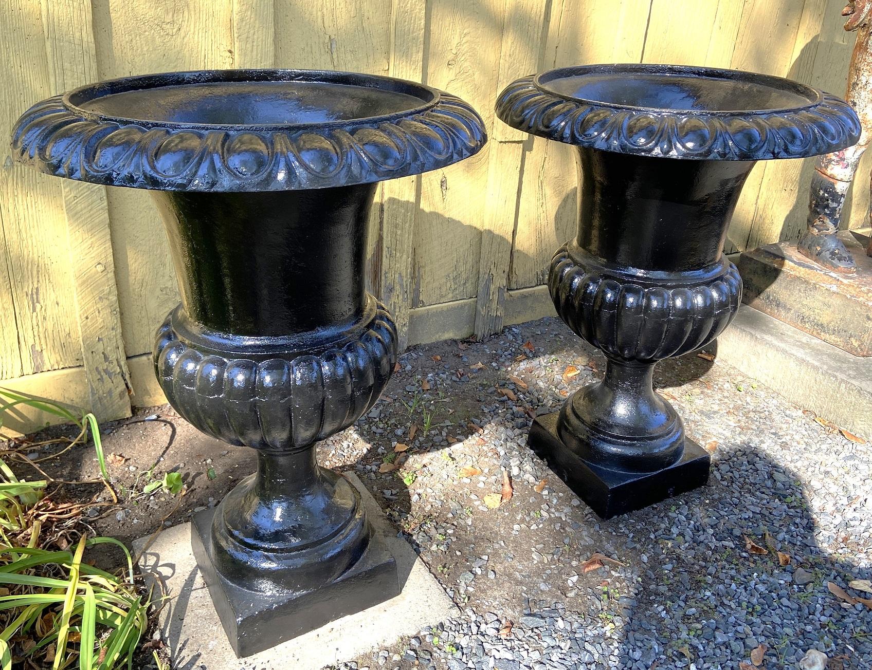 PAIR LARGE  CAST IRON URNS, CAMPAGNA FORM